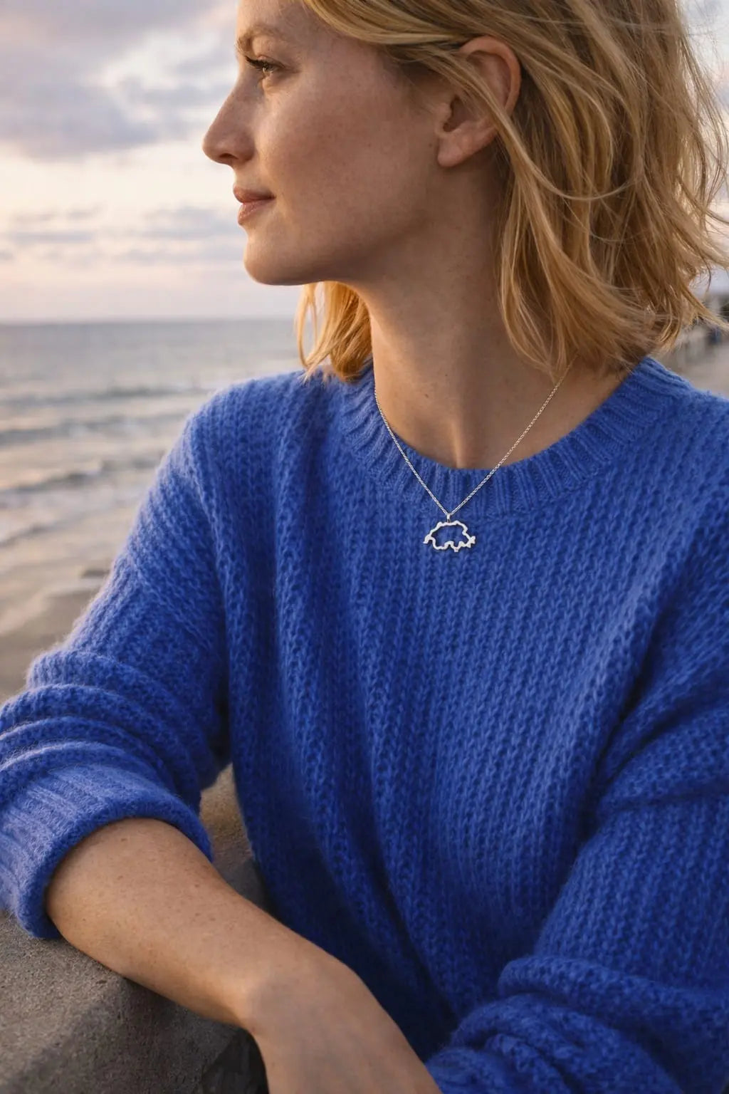 Collier The Map Swiss Accent